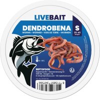 REPTO Food Dendrobena S, 35-45 Stück