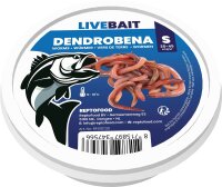 REPTO Food Dendrobena S, 35-45 Stück