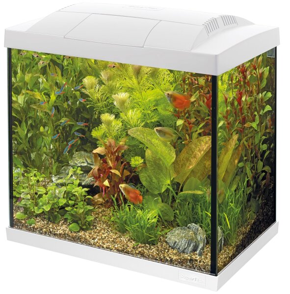 Superfish Start 30 (36x23x38cm) Tropical Kit, weiss