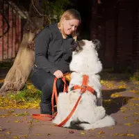 anny-x Führleine Bolt Fun Ahorn Middle