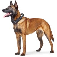 Hunter HB Larvik mit Griff 60/M-L Rindsleder schwarz/schwarz