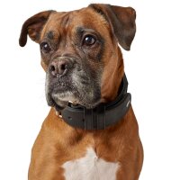 Hunter HB Larvik mit Griff 60/M-L Rindsleder schwarz/schwarz