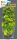 Superfish Easy Plants Seide 20cm Nr. 10