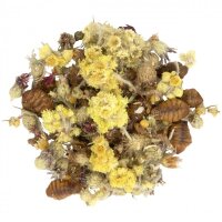 JR FARM Tiny Treats Silkworm-Mix 100g