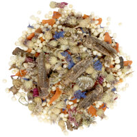 JR FARM Tiny Treats Grasshopper-Mix 150g