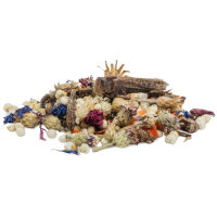 JR FARM Tiny Treats Grasshopper-Mix 150g