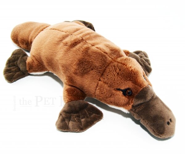Kuschel Schnabeltier Platypus 28cm