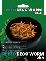 REPTO Deco Wurmschale