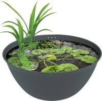 Superfish Medaka Bowl 600 (Ø60cm x H25cm) 36L