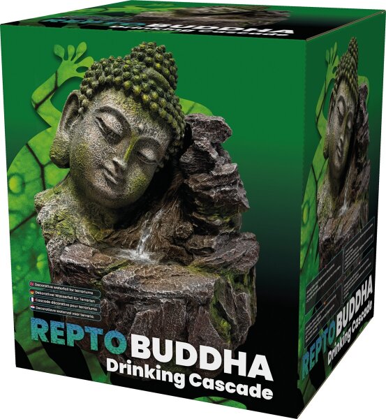 REPTO BUDDHA Drinking Cascade
