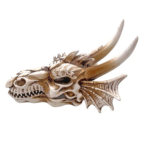 Hobby Dragon Skull S (12,5x9x8,5cm)