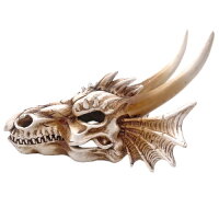 Hobby Dragon Skull M (19,5x14,5x13,5cm)