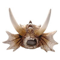 Hobby Dragon Skull M (19,5x14,5x13,5cm)