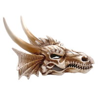Hobby Dragon Skull M (19,5x14,5x13,5cm)
