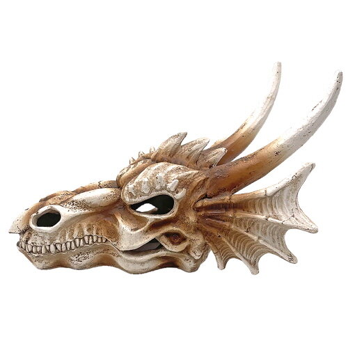 Hobby Dragon Skull L (28,5x21,5x19,5cm)