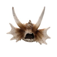Hobby Dragon Skull L (28,5x21,5x19,5cm)