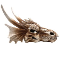 Hobby Dragon Skull L (28,5x21,5x19,5cm)