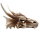 Hobby Dragon Skull L (28,5x21,5x19,5cm)