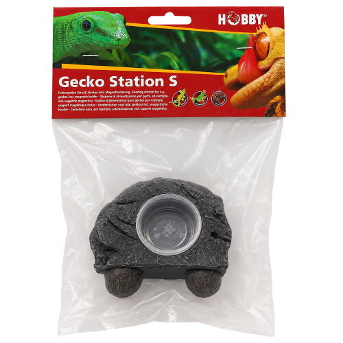 Hobby Gecko Station S (13x9x4,5cm)