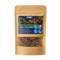 Hobby Jungle Star Flowers (25 Stück)