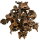Hobby Jungle Star Flowers (25 Stück)