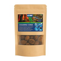 Hobby Casuarina Cones (25 Stück)