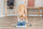 Trixie Dog Activity Strategie-Spiel Flower Tower, Ø 30 x 13 cm