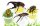 The Pet Factory Beetle Jelly Mix 15er Pack (Banane, Orange, Melone, Pfirsich