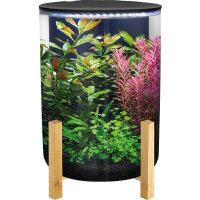 Superfish Orbiq 11, schwarz