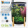 Superfish Orbiq 11, schwarz