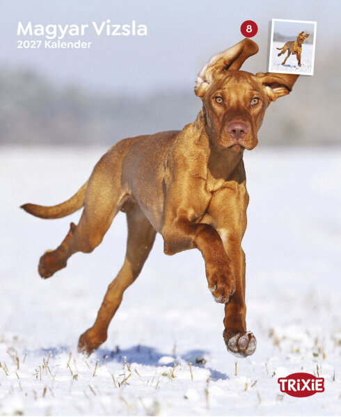 Trixie Kalender, Magyar Vizsla