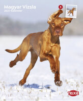 Trixie Kalender, Magyar Vizsla