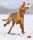 Trixie Kalender, Magyar Vizsla