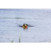 Trixie Aqua Toy Ente am Seil, Stoff, 20 cm/36 cm
