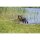 Trixie Aqua Toy Ente am Seil, Stoff, 20 cm/36 cm