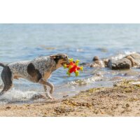 Trixie Aqua Toy Seeigel, Stoff, 24cm