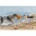 Trixie Aqua Toy Seeigel, Stoff, 24cm