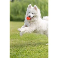 Trixie Wabenball, TPE, Ø 6cm, orange
