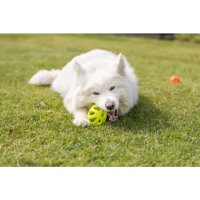 Trixie Wabenrugby, TPE, 11cm, lime