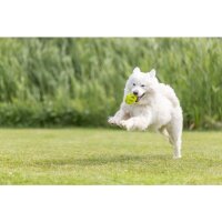 Trixie Wabenrugby, TPE, 11cm, lime