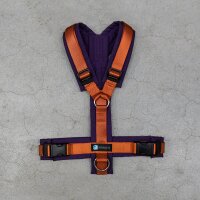 anny-x Brustgeschirr Fun Limited Edition Pflaume S