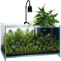 Superfish Medaka Aqua one (40x30x24cm)
