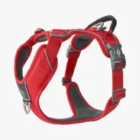 DOG Copenhagen V3 Comfort Walk Pro Harness, Classic Red, L