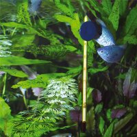 JBL Aquarien Thermometer Premium