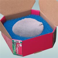 JBL CarboMec ultra Pad CP e1501/ e1901