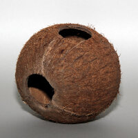 JBL Cocos Cava 1/1 Größe L