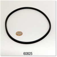 JBL CP 120/250 Dichtung Pumpenkopf