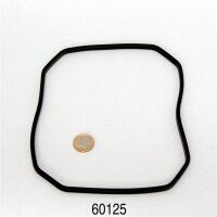 JBL CristalProfi e1501/e1901 Profil-Dichtung Pumpenkopf