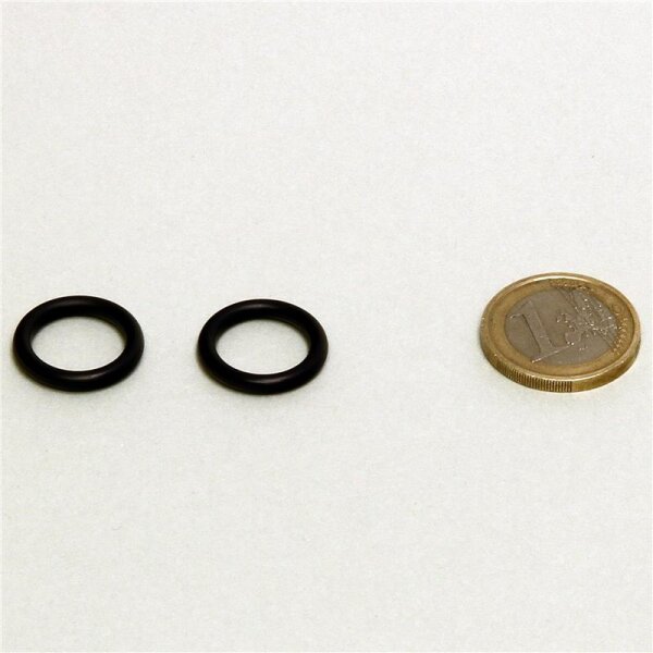JBL CristalProfi e401/e701/901 Dichtung Schlauchanschlußblock (2x)