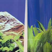 JBL FIXOL Rückwandkleber 50ml für 2m x 0,8m